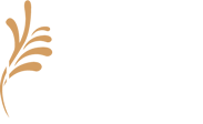 LOOKS Salon and Spa